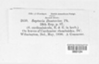 Image Associated With the Occurence